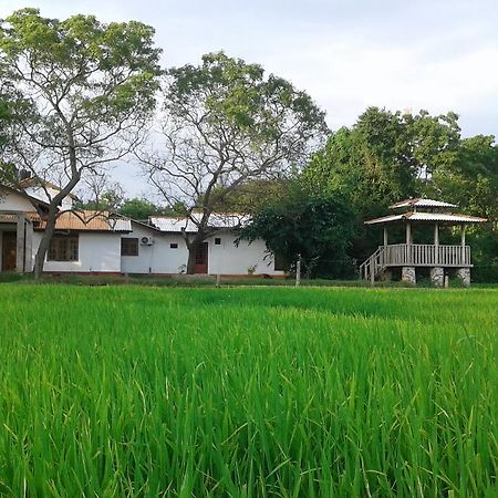 Hotel Willpattu Wild Watch Habawewa Exterior foto